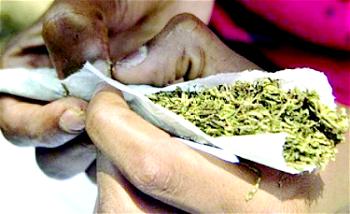 House of Reps set to legalise use of Indian hemp for economic benefits — Spokesperson