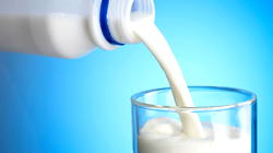 CBN exempts Nestle, WAMCO, 4 others from milk importation ban