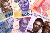 Breaking:  Over 100m Nigerians earn less than N700 per day — EFInA