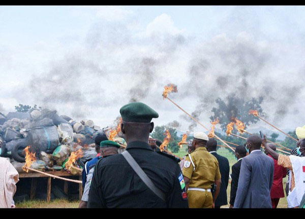 NDLEA destroys Seven tonnes of illicit drugs in Taraba
