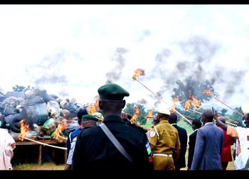 NDLEA destroys Seven tonnes  of illicit drugs in Taraba