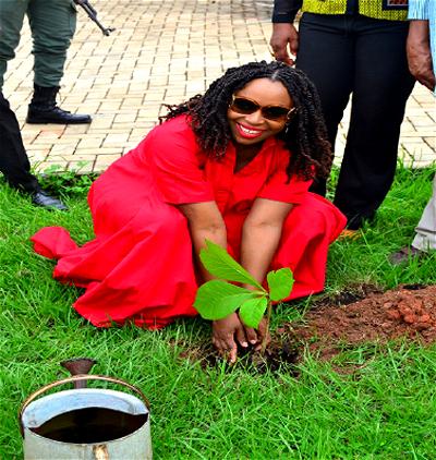 Chimamanda Adichie, plant tree