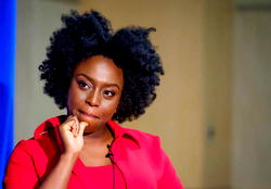 ‘Chimamanda’s letter on 2023 seditious, uninformed’ — Law prof writes Biden, Canada