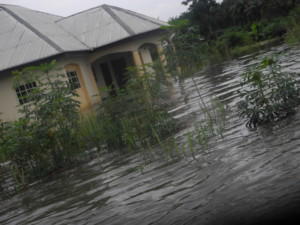 Flood, Imo