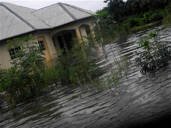Warri, Effurun submerged following heavy down pour
