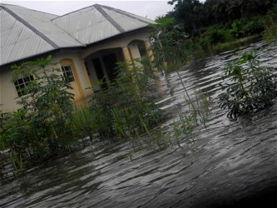 Flood, Edo