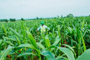 FLOOD: register farms with insurance scheme to avoid total loss — Govt.