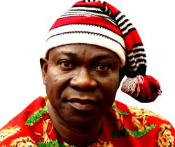 Everybody was taking advantage of my daughter – Ekweremadu tells court 