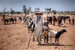 Killing: A’Ibom warns herdsmen