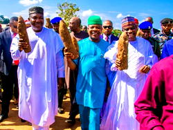 Iri Ji Mbaise: Tambuwal, Ugwuanyi, others rate Imo festival high