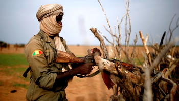 Mali in crisis: The fight between the Dogon and Fulani