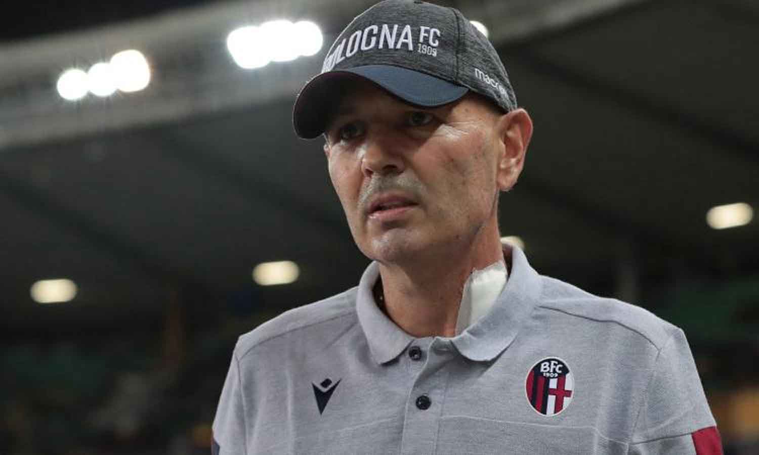Mihajlovic