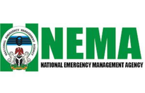 NEMA distributes 50,000 bags of fertilisers to farmers in Anambra