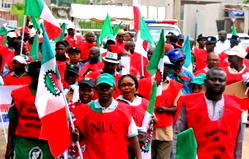 NLC has no plan for mass action