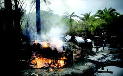 Cries of environmental crimes rock Niger Delta 