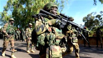 BHT/ISWAP lose 7 key Commanders, Scores of terrorist members to military bombardments in Lake Chad