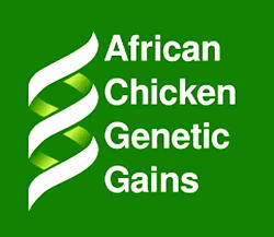Poultry brooding services required in  The 36 states and FCT