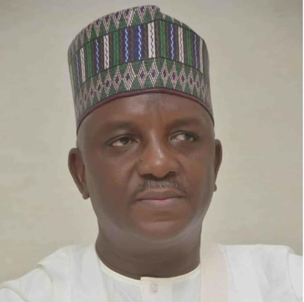 Sale Mamman, Minister of Power