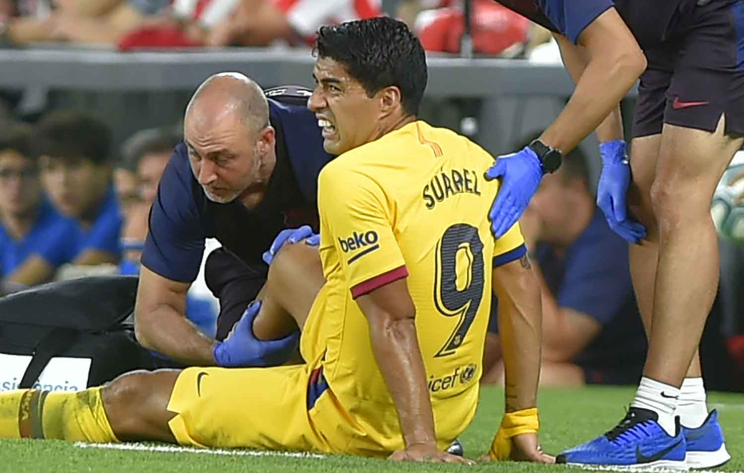 Suarez