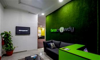 Farmcrowdy introduces Crowdyvest for impact-driven projects