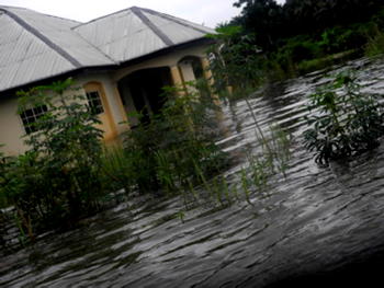 Enugu govt to provide palliative for Nsukka flood victims