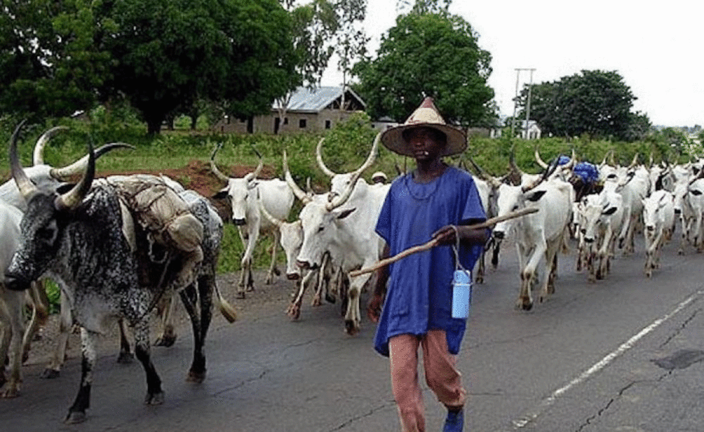 Fulani herdsmen wreaking havoc in Nigeria are foreigners, Baraje insists
