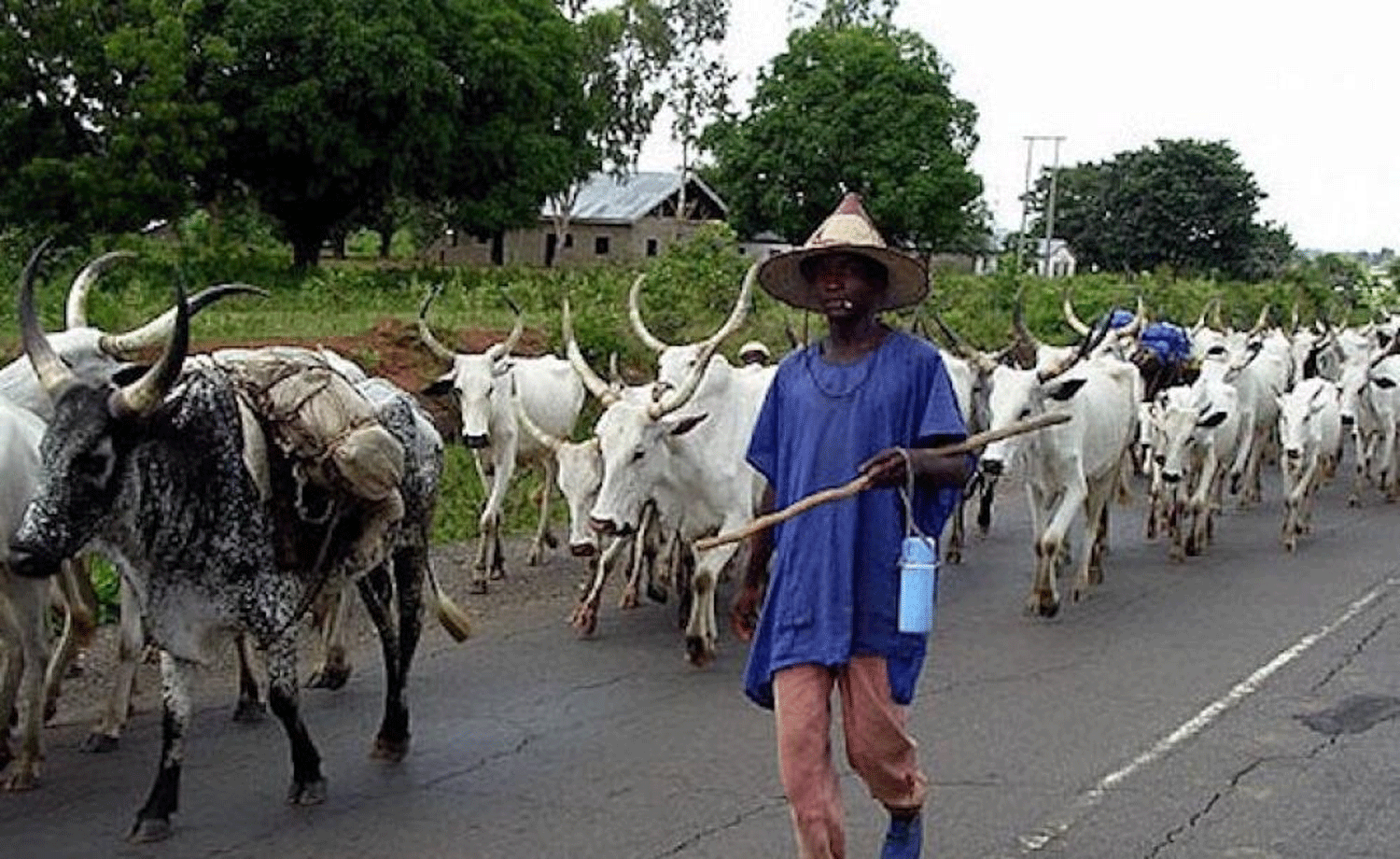 Only 107 herders from Oyo relocated to Kaduna, not 4000 — Fulani leaders