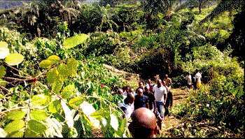 Insecurity: Awgu youths support Ugwuanyi over demolition of kidnappers’ hideout