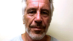 Epstein files on display at New York pop-up exhibit, all 3.5 million pages