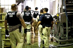 12-year-old among 86 arrested during….