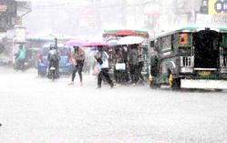 Rainstorm kills 7 people in Yola -NEMA