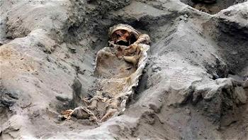 Archaeologists find remains of 227 sacrificed children in Peru
