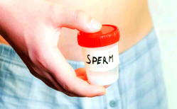 Semen may transmit, protect against HIV — STUDY