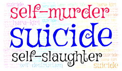 43-year-old bus driver commits suicide at mechanic workshop in Lagos