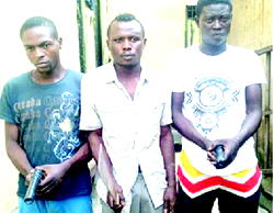 End of the road for suspected burglars