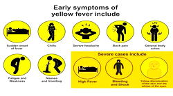 NCDC, NPHCDA confirm 15 laboratory cases of yellow fever in Bauchi