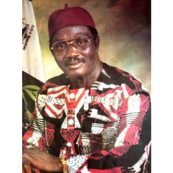 Late Chief CC Onoh: What offence did the lion of Wawa land commit?