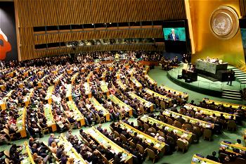 Nigeria, Mauritius retain seats in UN rights committees