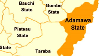 Adamawa LG Polls: Protest as free for all fight mars PDP primaries