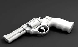 Terrorists could print weapons in 3D for mass destruction ―Report