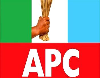 Lagos APC council primaries: Youths back Tinubu’s stance on non-interference 