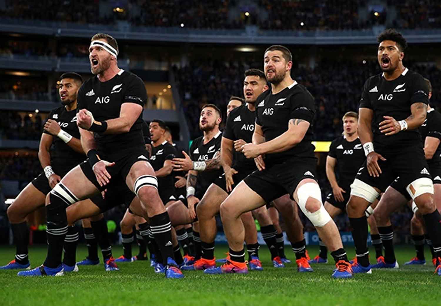 download all blacks 24 sept