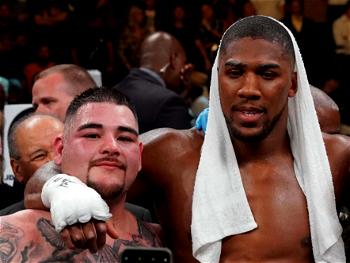 Anthony Joshua to become $85million richer from Andy Ruiz Jnr rematch