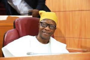 Empower LGAs for quality primary healthcare, Lawmaker urges federal, state govts