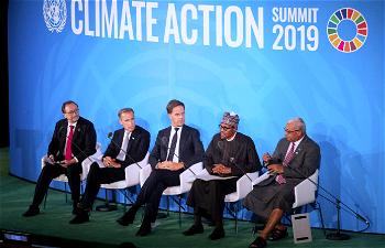 How Nigeria tap economic opportunities in climate change  – Okereke