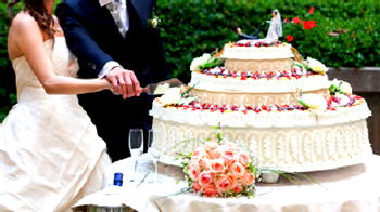 Too Good to Cut ‘Cake Etiquette'(Part 1)