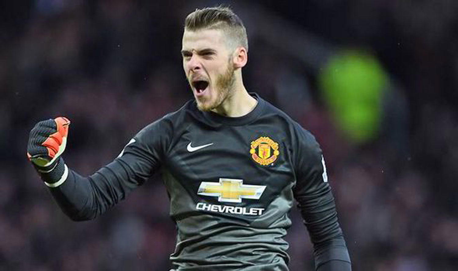 Manchester United's De Gea needs more trophies, says Solskjaer