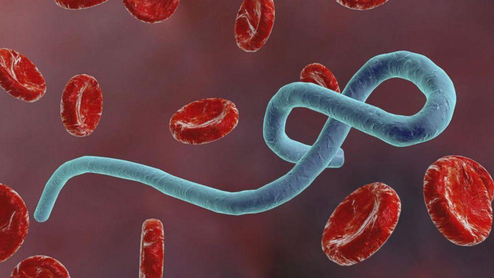 Nigeria on alert as Ebola resurfaces in Uganda—NCDC