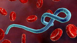 Ebola resurges in DR Congo three months after