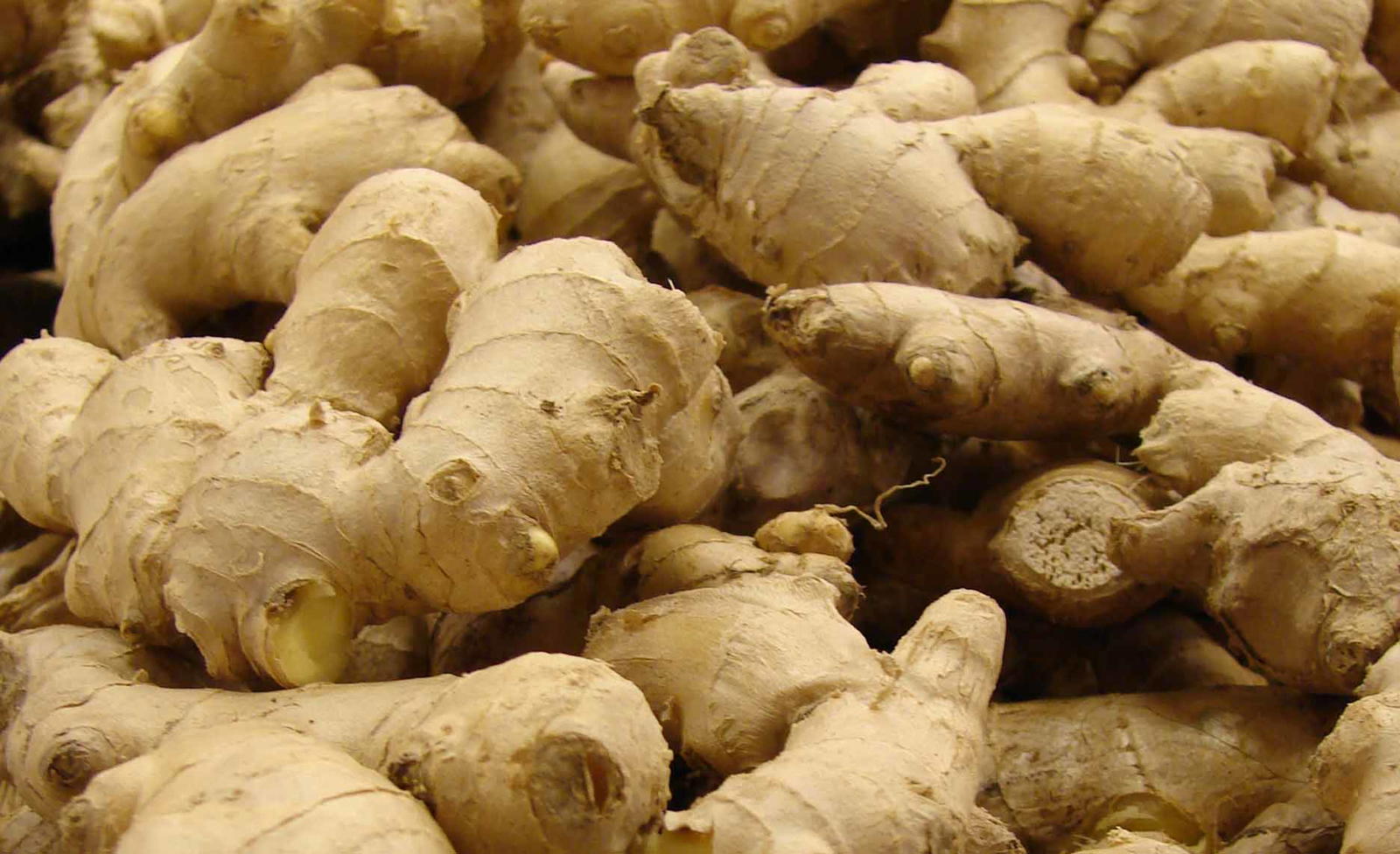 Nigeria govt, Nasarawa train 200 farmers on ginger production